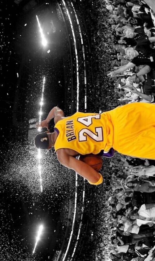 视野控制 视野控制